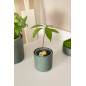 Amazing Avocado Pot - Ø12 cm - Vert