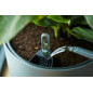 Self watering - Arrosage autonome - AU CHOIX - Noir