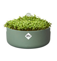 Magic microgreens - Ø17 cm - Vert