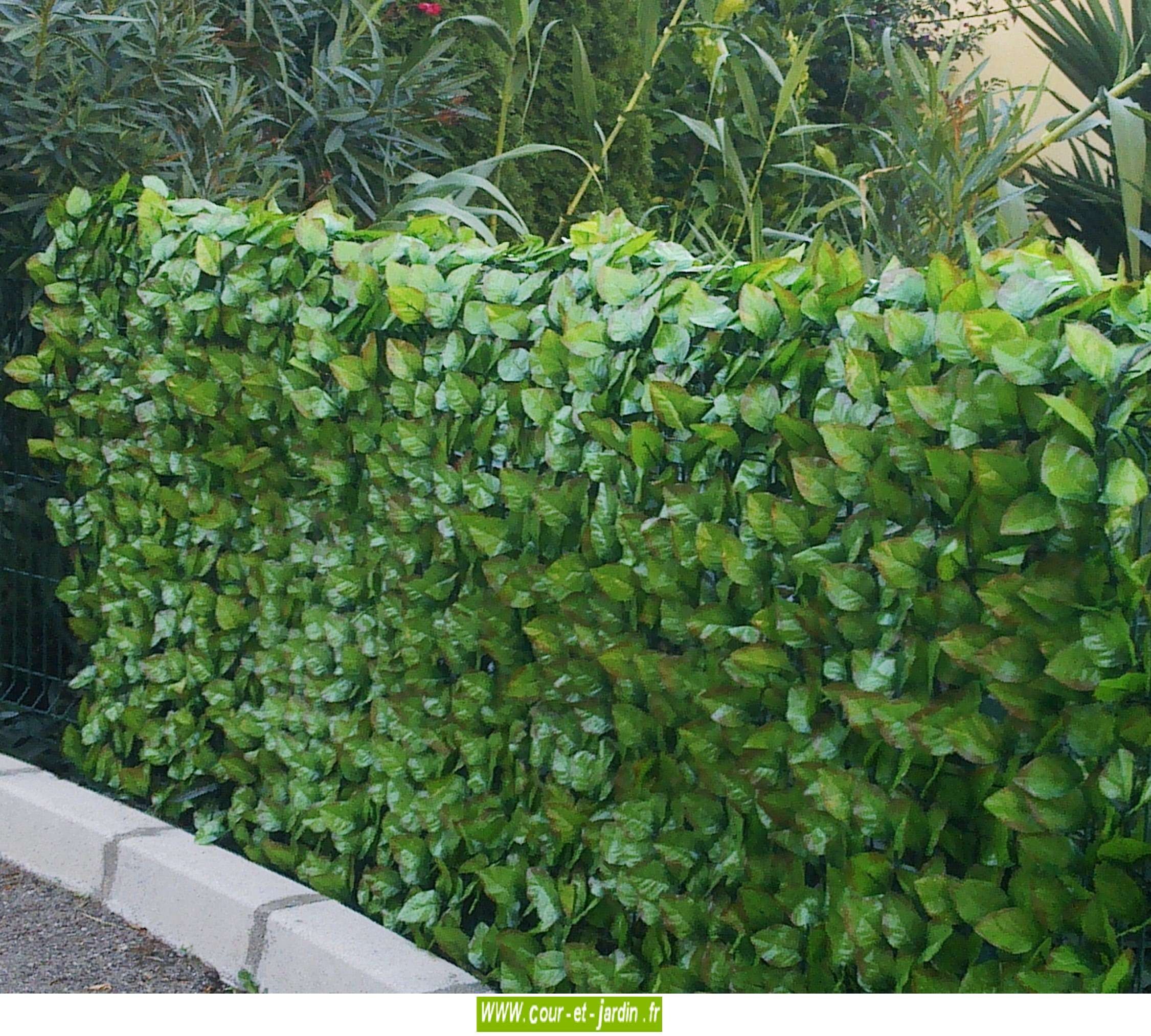 Treillis occultant osier avec feuillage vert - Clôture, bordure et brise vue  - Aménagement de jardin - Jardin et Plein air