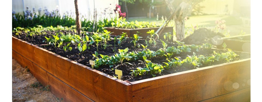 Le potager en carrés (square foot garden) - Trois fois par jour