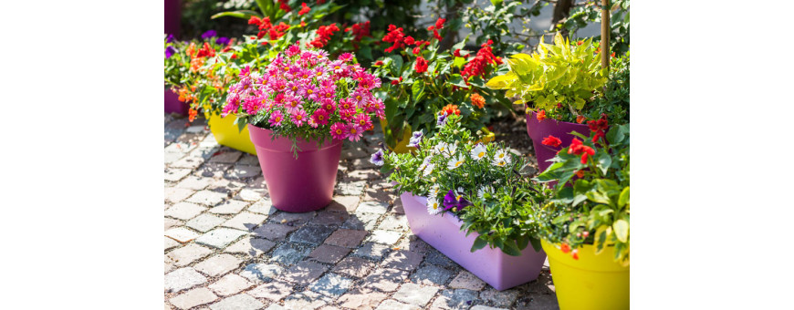 pot à fleurs pot en plastique pour plantes pour jardin décorer stockage