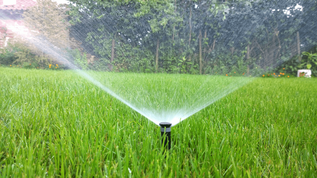 arrosage automatique pour la pelouse