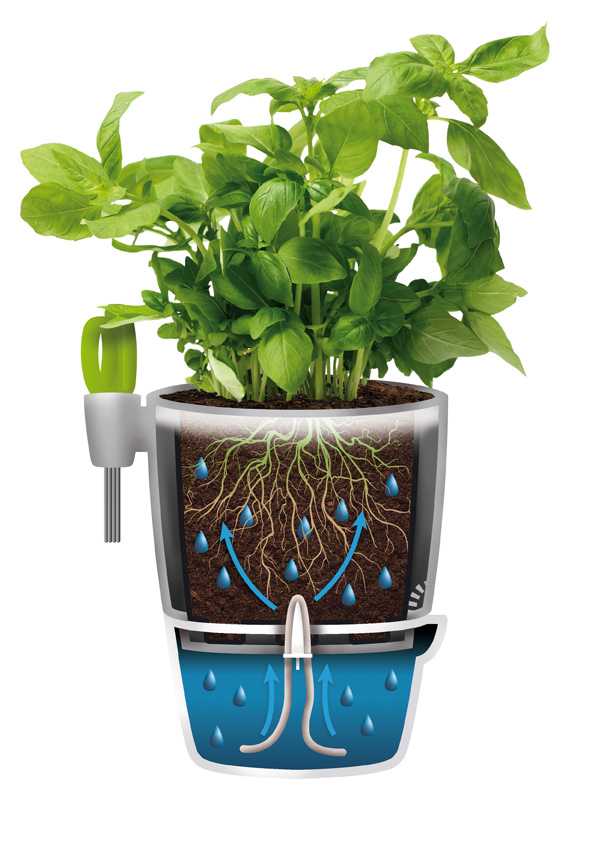CuleedTEK Lot de 4 pots à herbes en plastique avec système d'irrigation -  Avec sous-verre - Pour plantes d'intérieur, fleurs et herbes - Gris - 10,4  cm : : Jardin