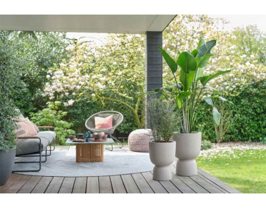 Pots de fleurs : des matériaux innovants pour sublimer terrasse et balcon